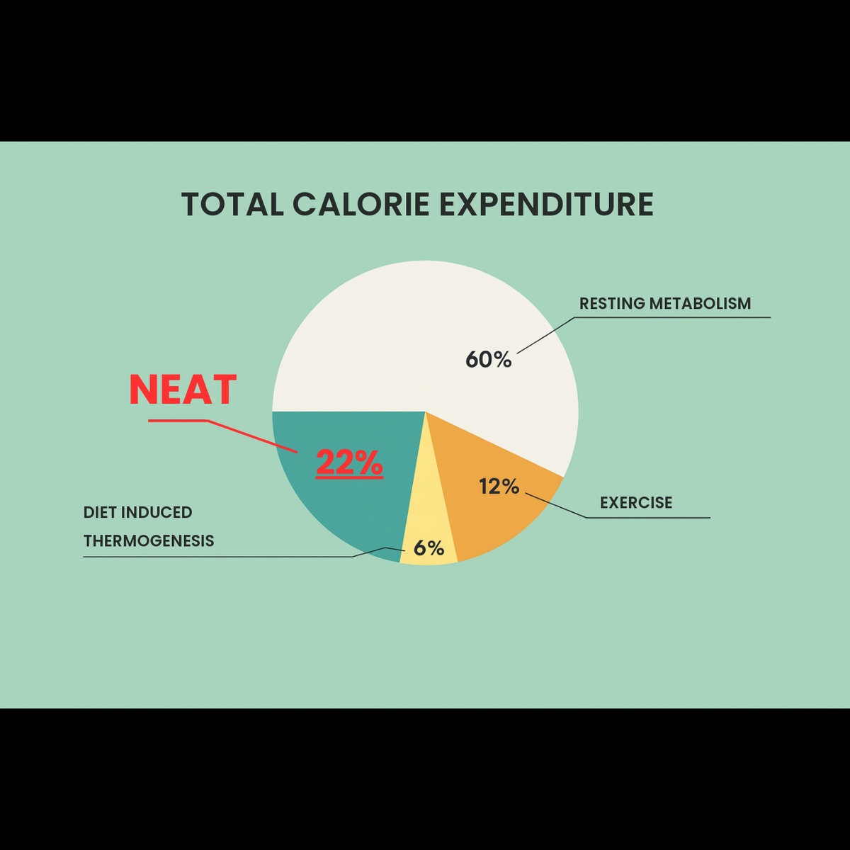 Share of total calorie expenditure, NEAT 22 percent
