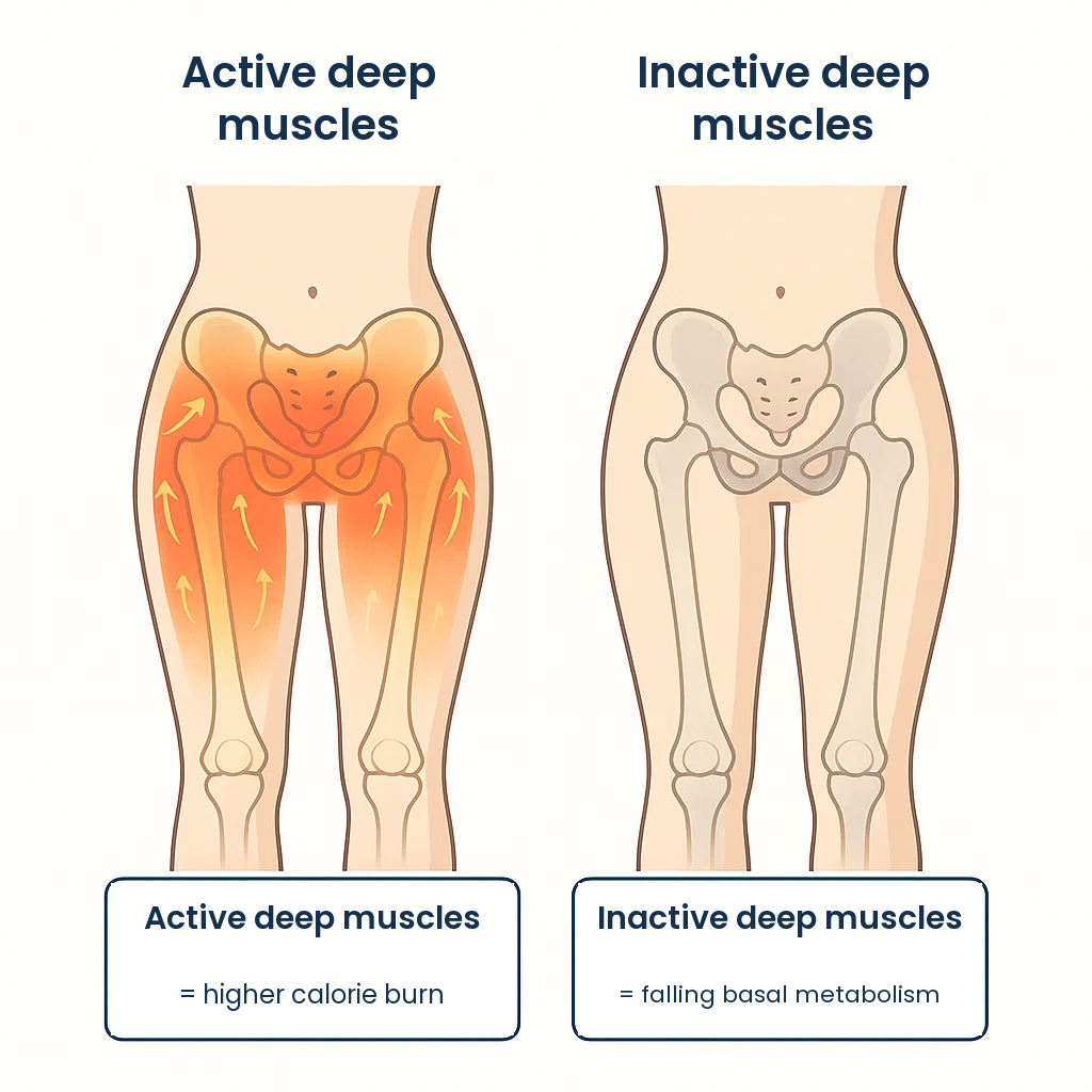Active deep muscles compared with inactive deep muscles